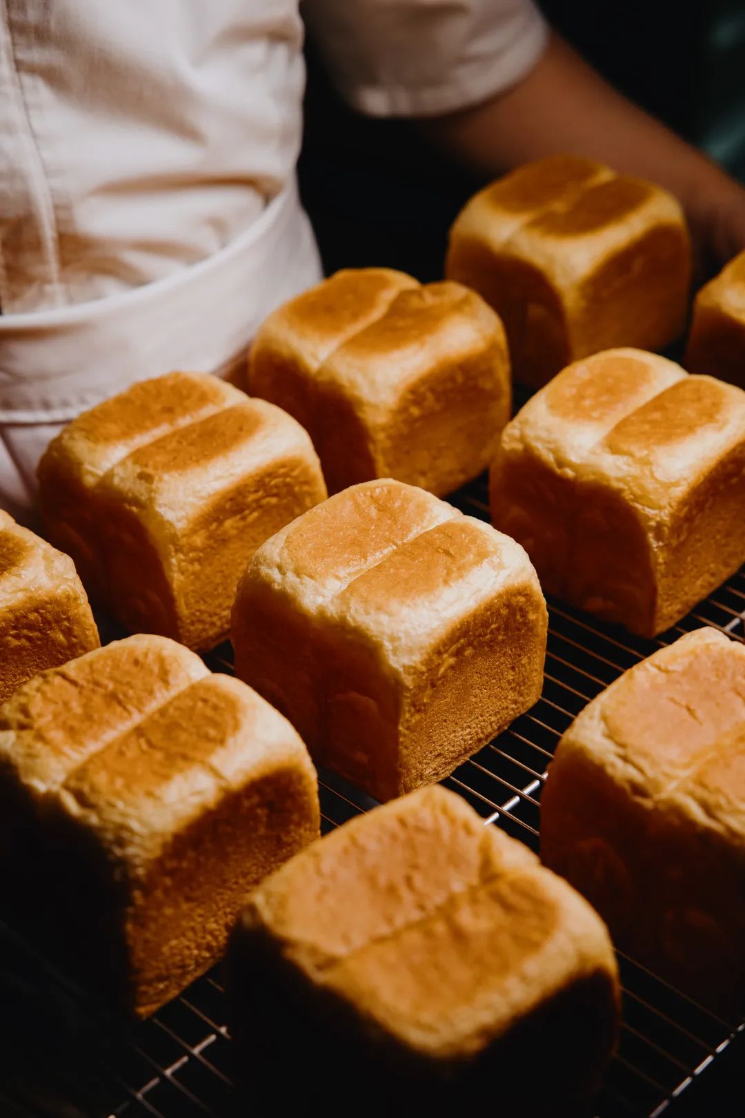 “面包脑袋的天堂，藏在东山口博物馆里”