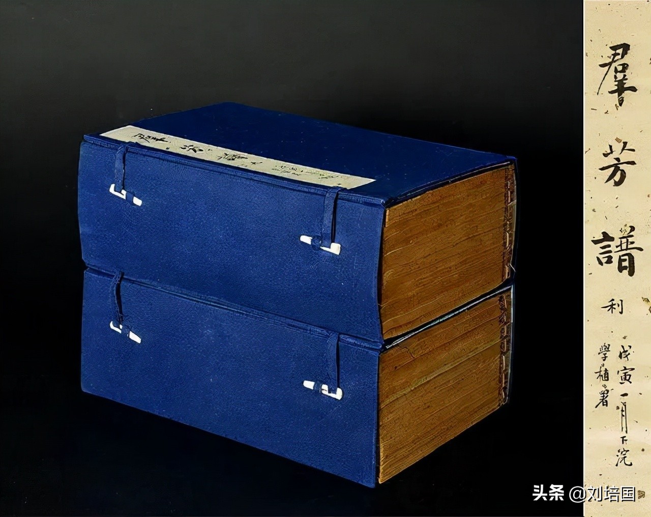 中国植物学的三大奠基人,中国植物学发展历程