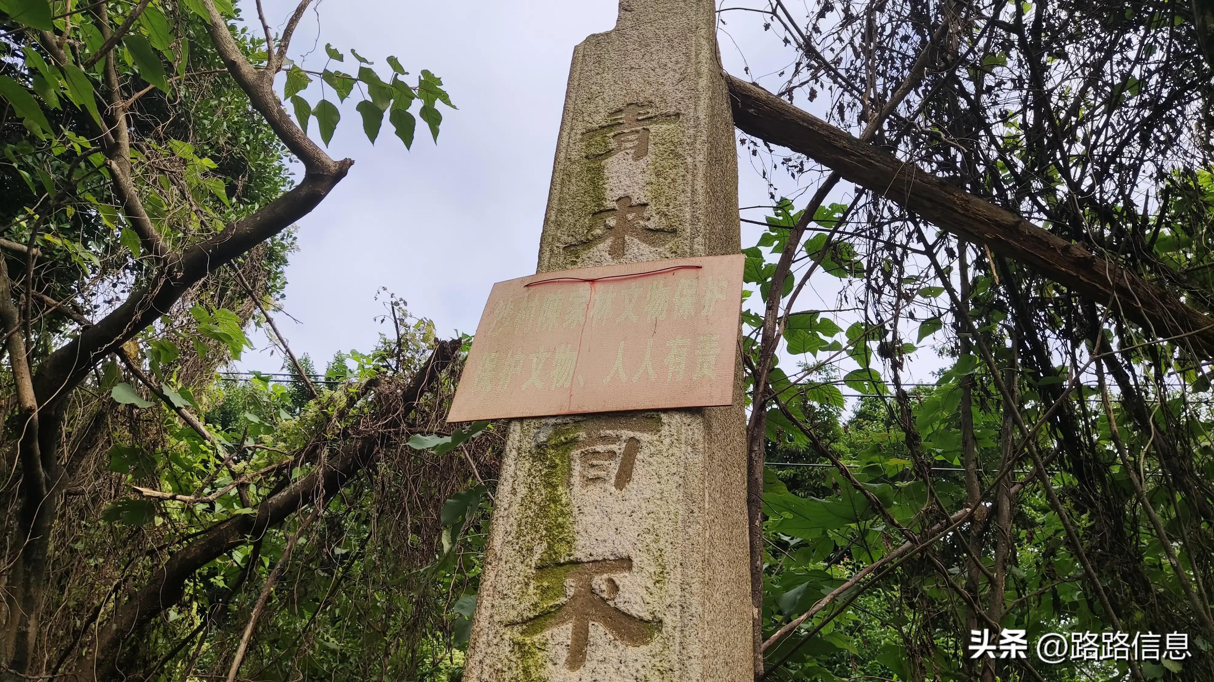 佛穗莞城际陈家林站,穗莞佛城轨陈家林站