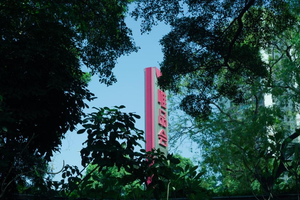 少女新宠“维尼熊”逆袭:50亿差点打水漂,如今在天猫唯品会卖爆