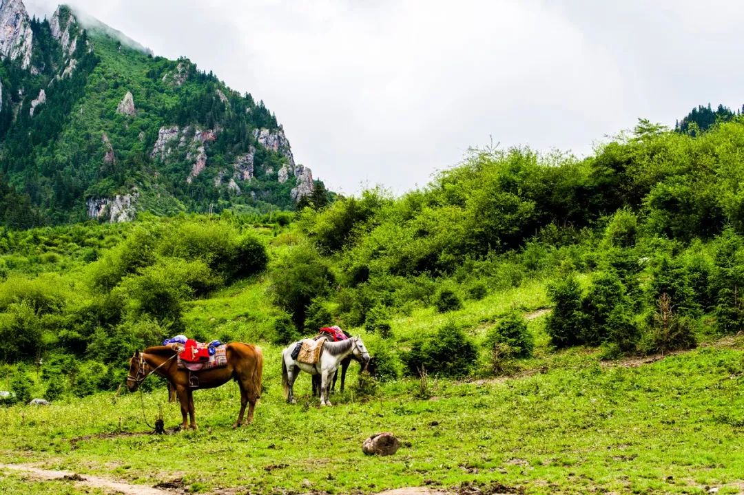 良心推荐夏日风光绝美的避暑胜地,夏季避暑胜地推荐4天