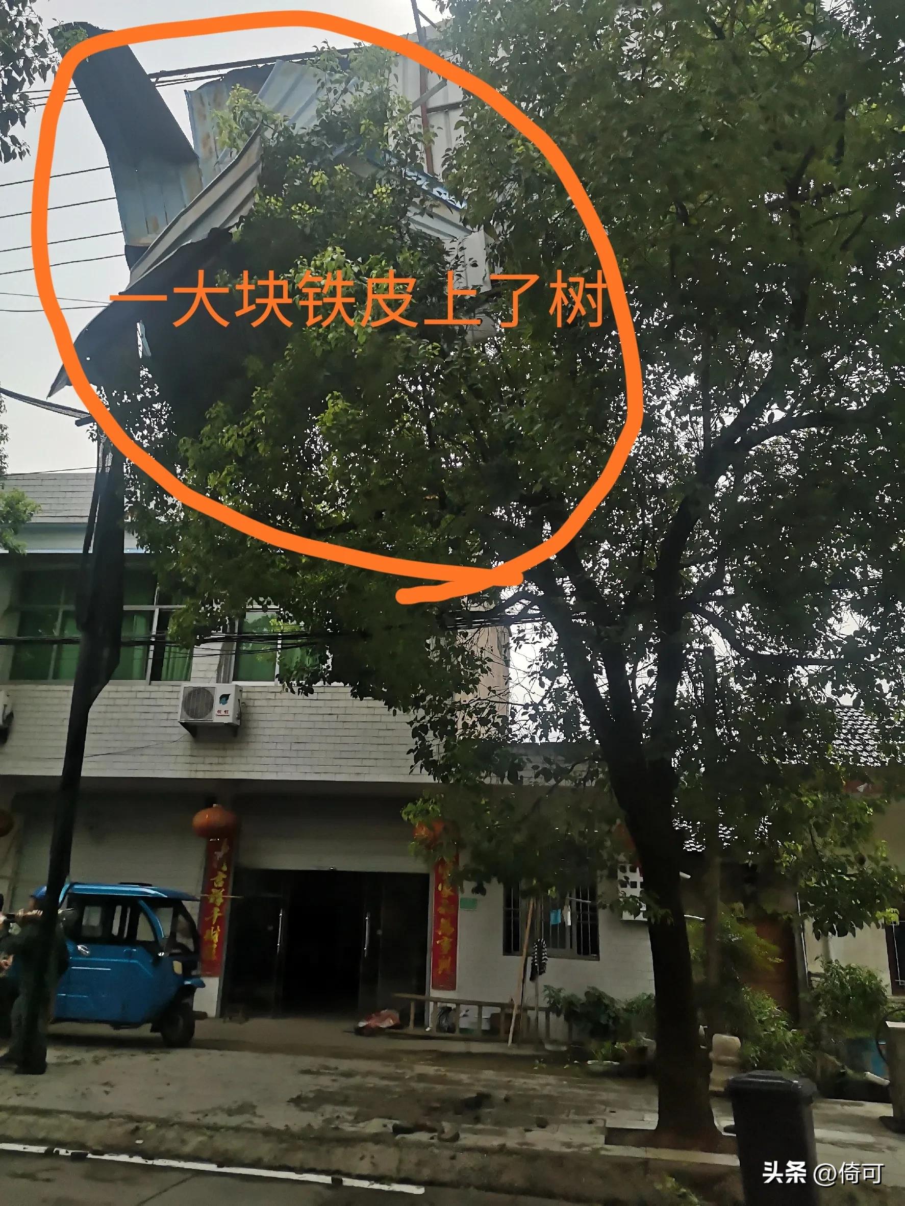 自然之威,自然之威力