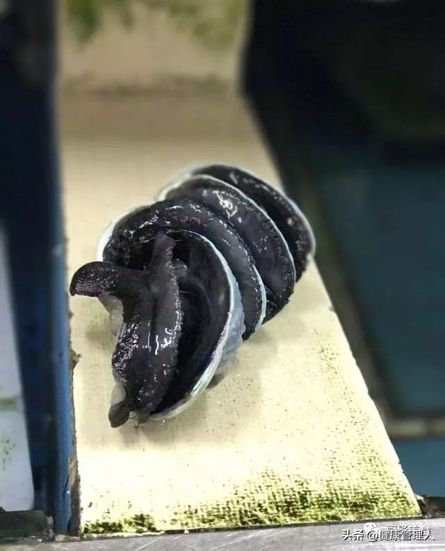 海鲜贝类品种大全及名字,22种海鲜贝类做法大全