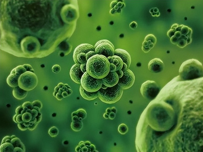 小伙创业年亏40万后逆袭,小伙创业亏损600万