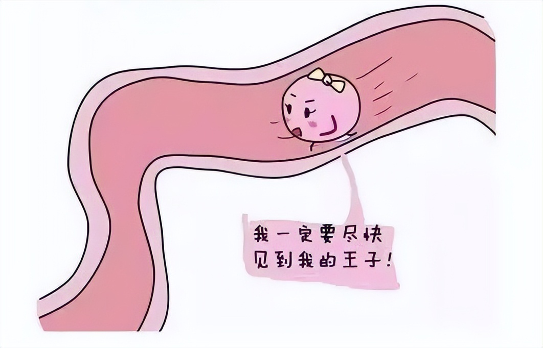 「疾病科普」什么是促排卵治疗综合评估？