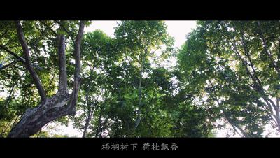 520特别的爱华中科技大学校歌官宣,武汉华中科技大学校歌视频