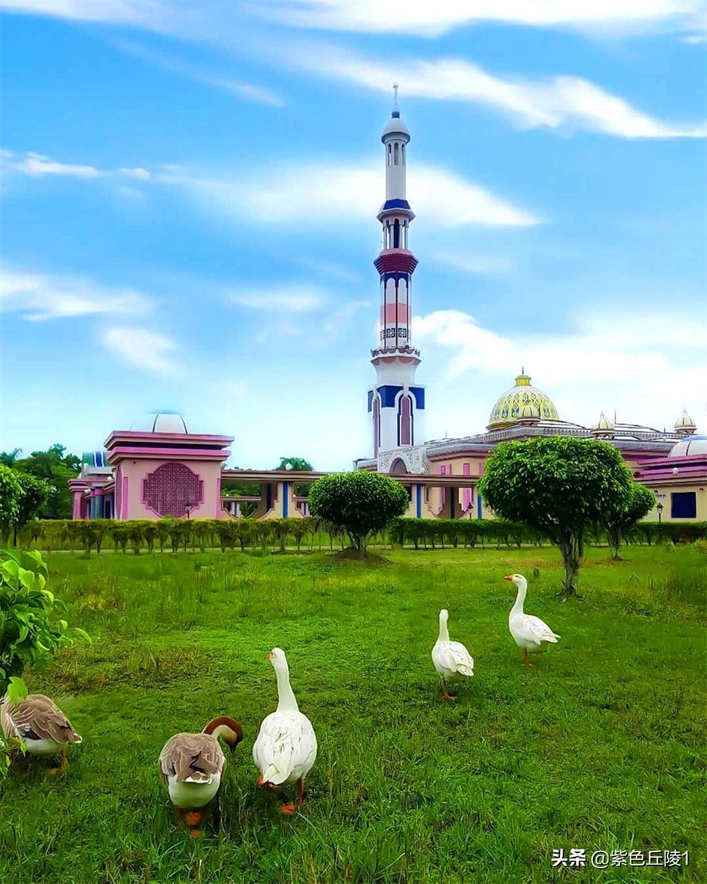 南亚国家外交活动,中国南亚多国