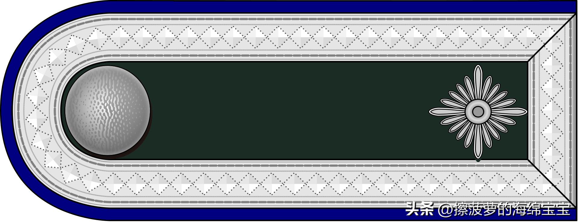 二战德国国防军医疗兵军衔标志