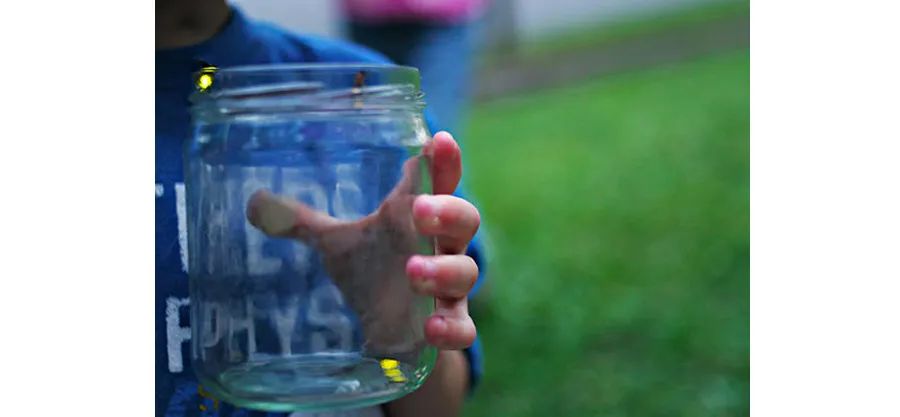 萤火虫的画法儿童画,夜晚怎么画简单又漂亮萤火虫