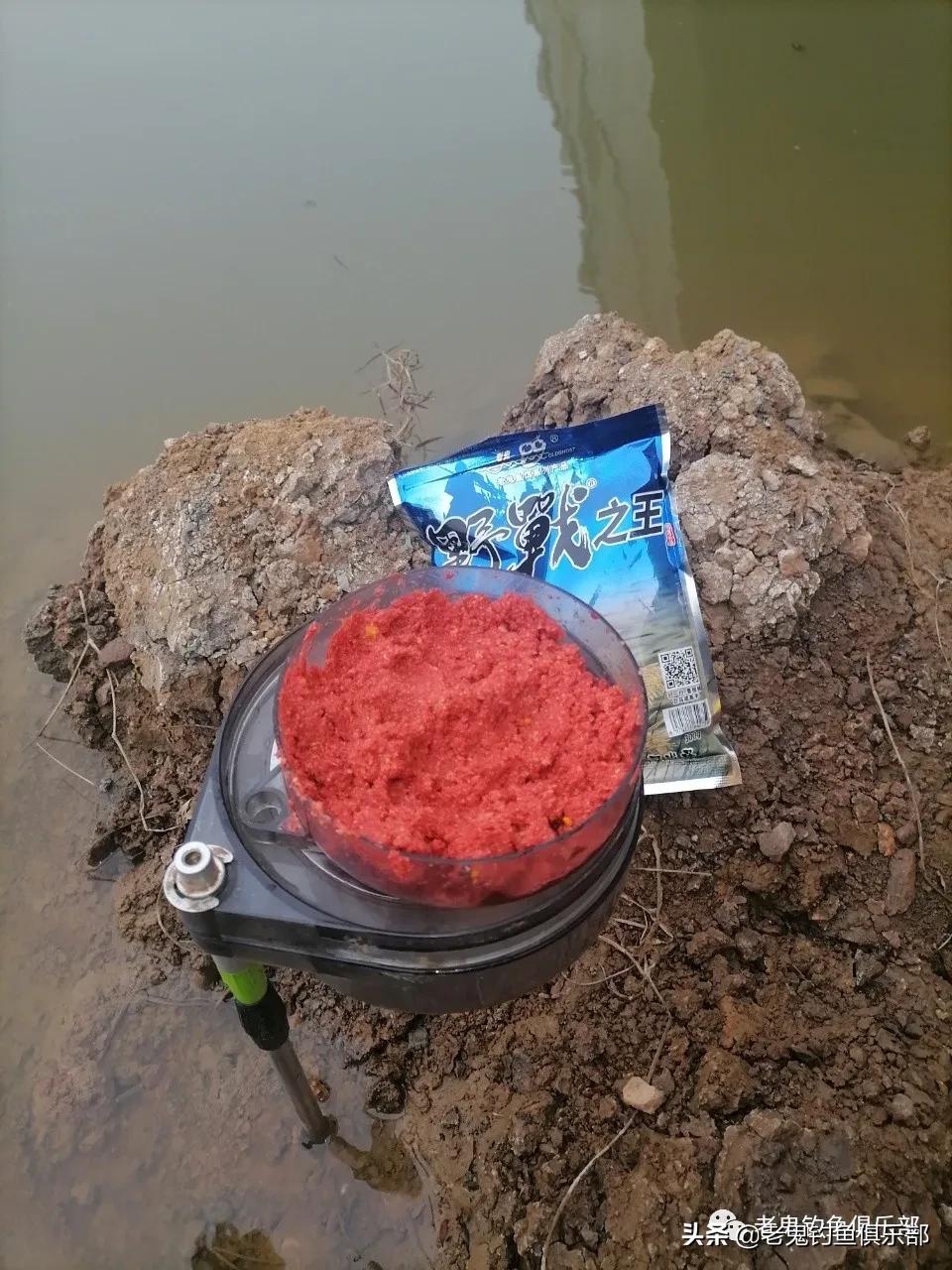 冬钓小野河，*战野**之王·腥香一包搞定