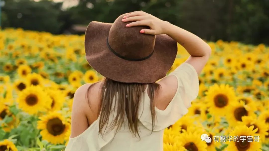 20日上市的可转债分析,明天上市可转债分析