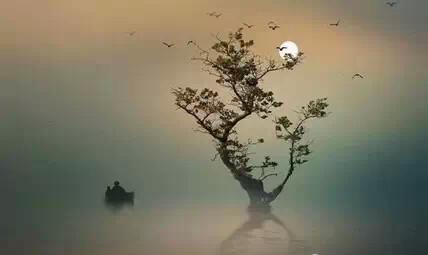 寻人不遇的经典诗句,寻隐者不遇经典诗句