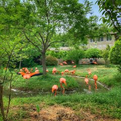 青岛旅游攻略十大景点介绍,青岛旅游攻略必去十大景点示意图