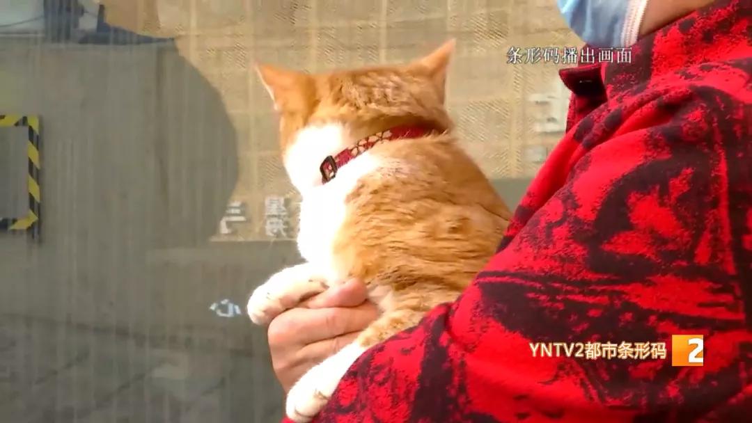 昆明市五华区免费狂犬疫苗接种点,五华区接种狂犬疫苗的地方