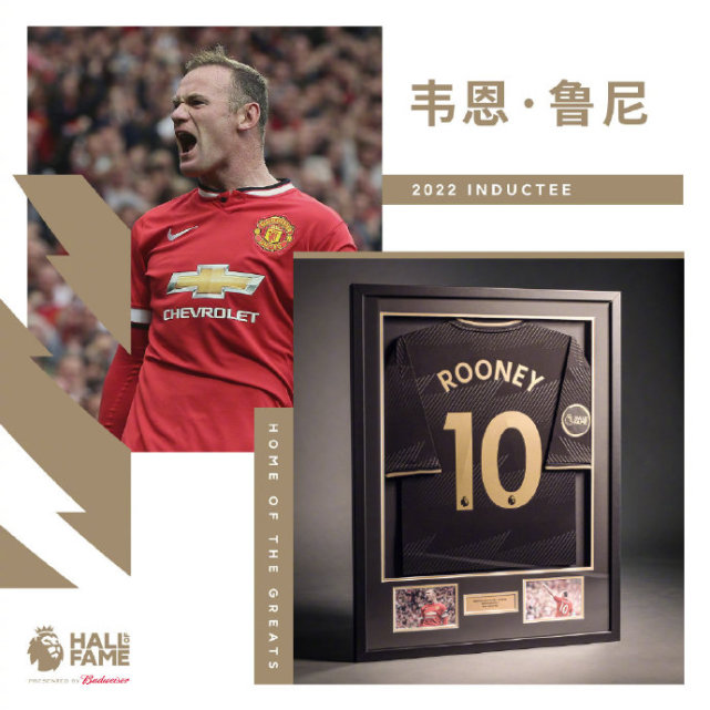 18岁的鲁尼对维埃拉,鲁尼入选英超名人堂