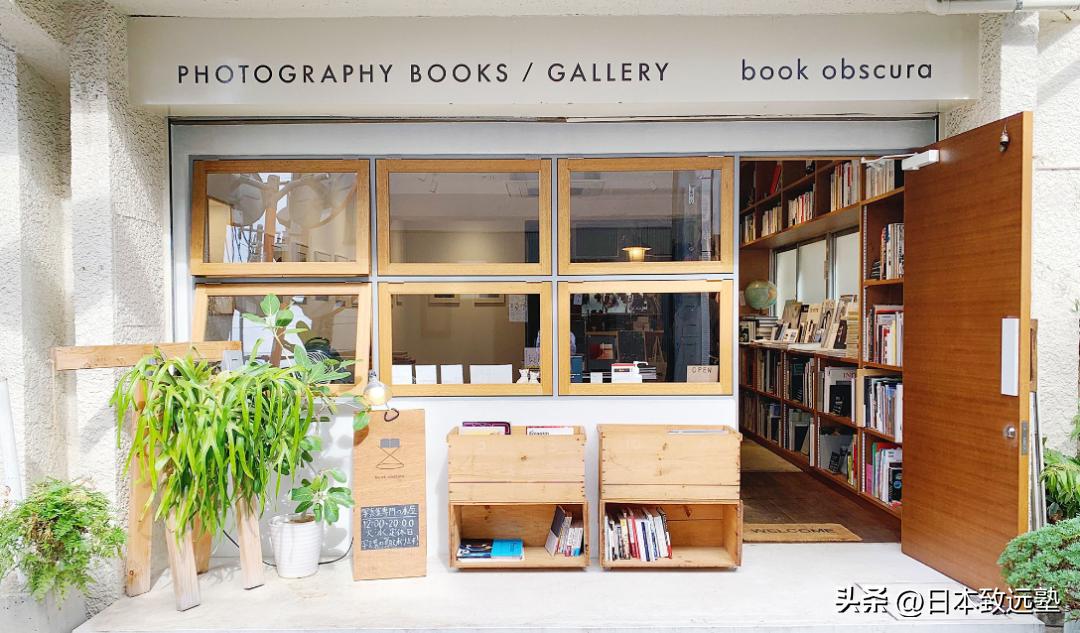 artfestival有什么活动,artfestival在哪一天