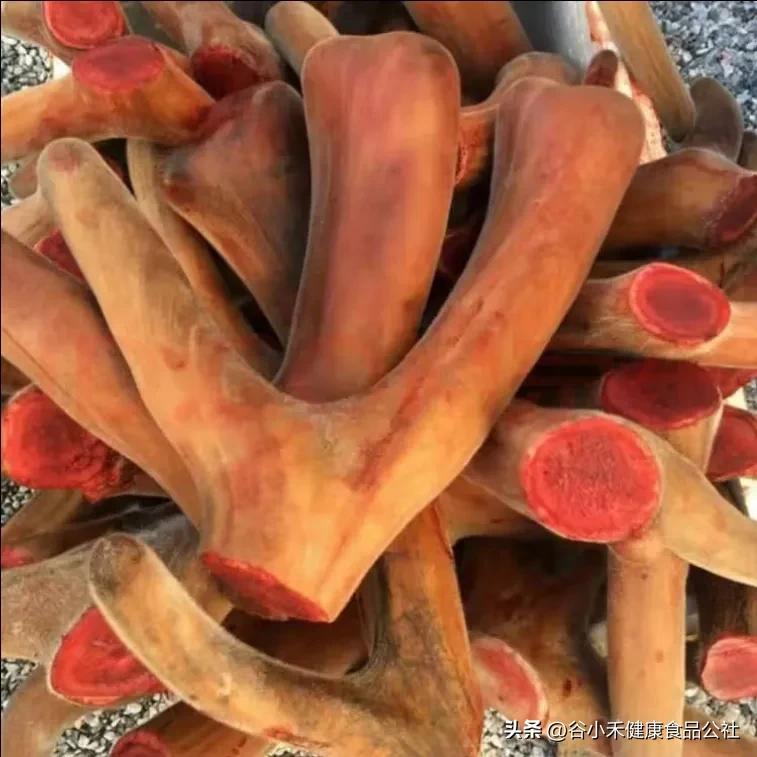 鹿茸菇的产地与挑选方法,鹿茸菌菇干货怎么挑选