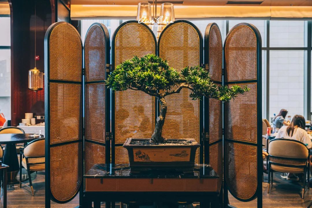 它是岭南花园的代表作，更是华南洲际的新旗舰