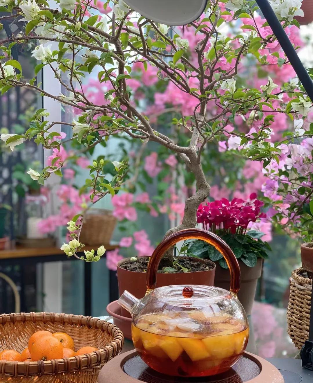 90后将天台改造成空中花园,90后姑娘回家改造楼顶花园