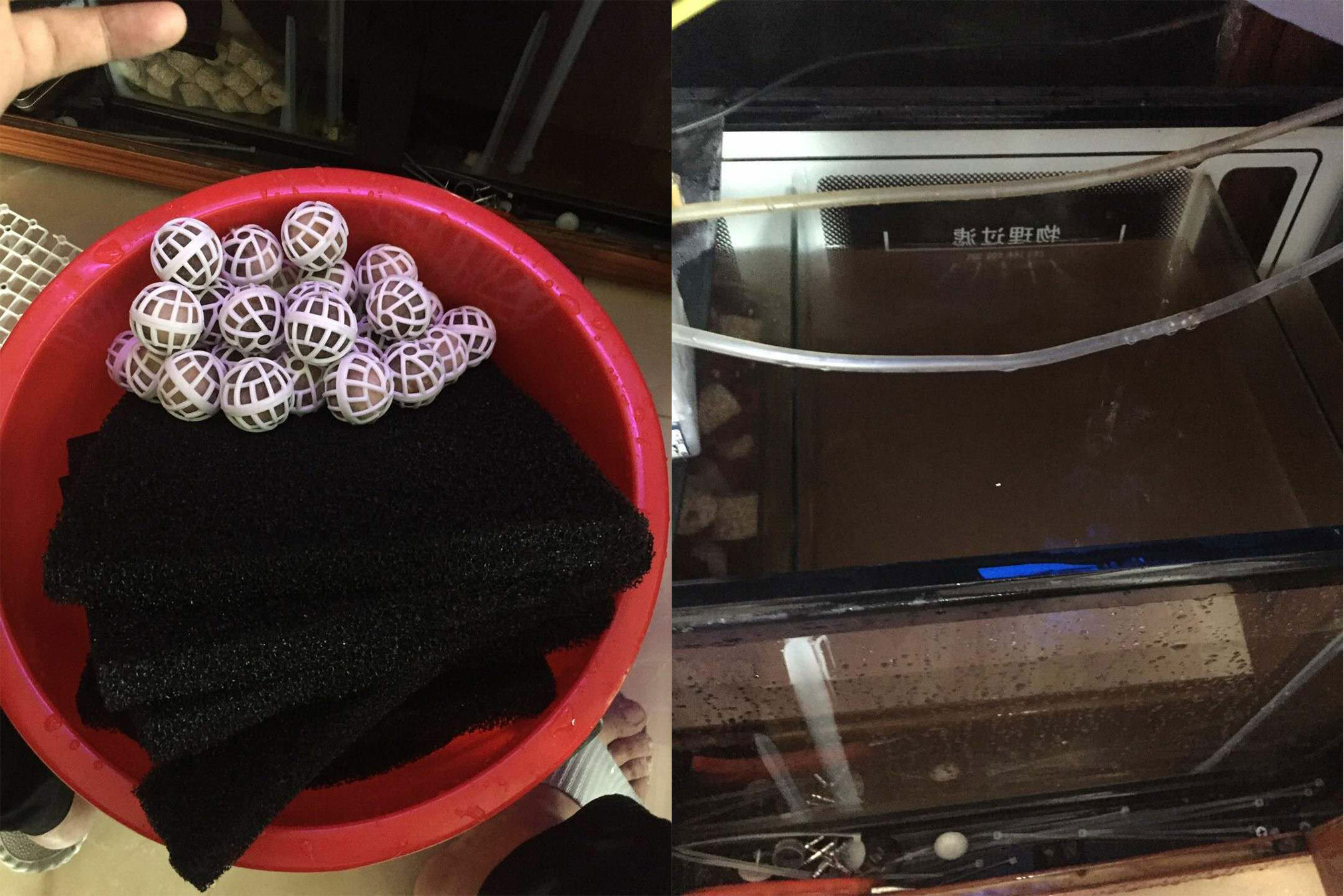 手臂纹锦鲤的忌讳和讲究,鱼池养锦鲤最忌讳7件事