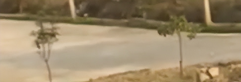 李宝成流氓案怎么判刑,李宝成性侵案