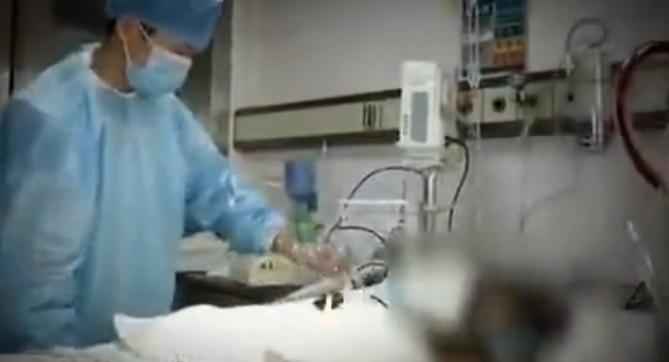 男子出轨被妻子浇硫酸事件,男子被泼硫酸凶手竟是枕边人