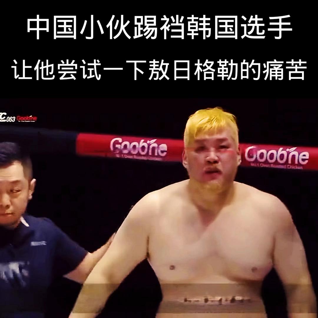 韩国拳手踢裆敖日格勒后续,韩国选手踢敖日格勒后续