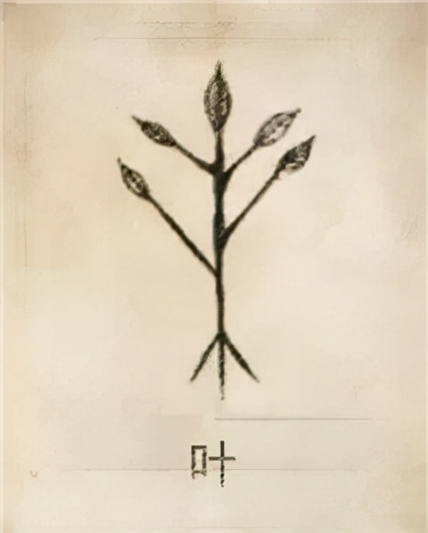 你的姓氏是什么,图腾看看你的姓氏是什么