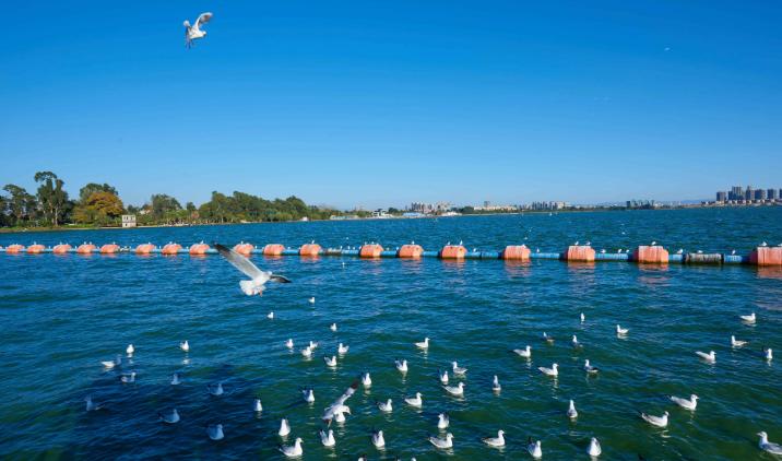 昆明旅行最值得打卡的十大景点,昆明周边湿地公园网红打卡地