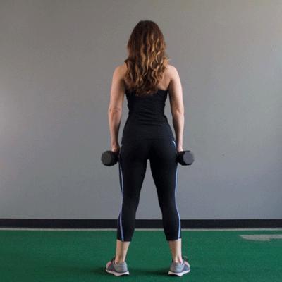 在家健身计划增肌,新手健身房15天肌肉塑形计划