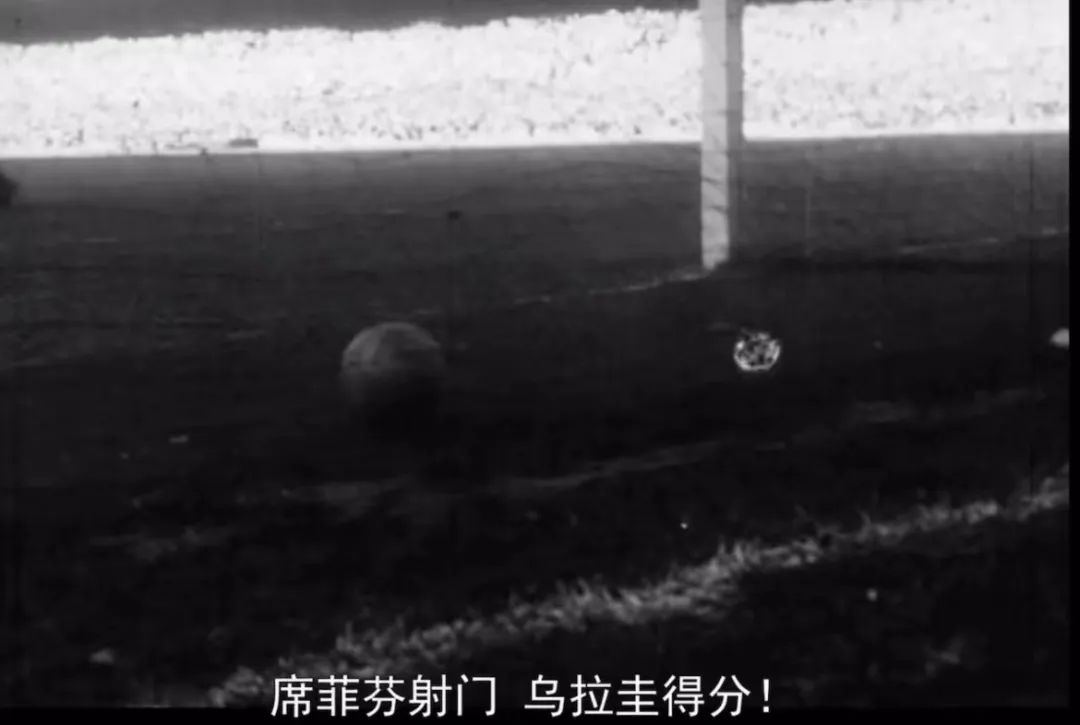 球王贝利离世因为什么,球王贝利去世球场上为他致敬