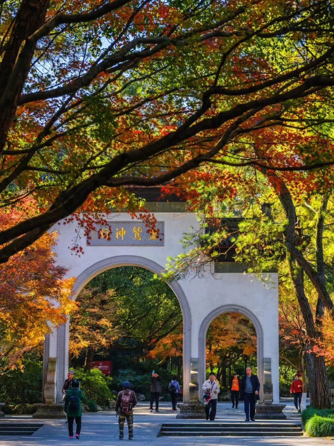 杭州秋日游攻略,杭州秋色上线这些赏秋地风景极佳