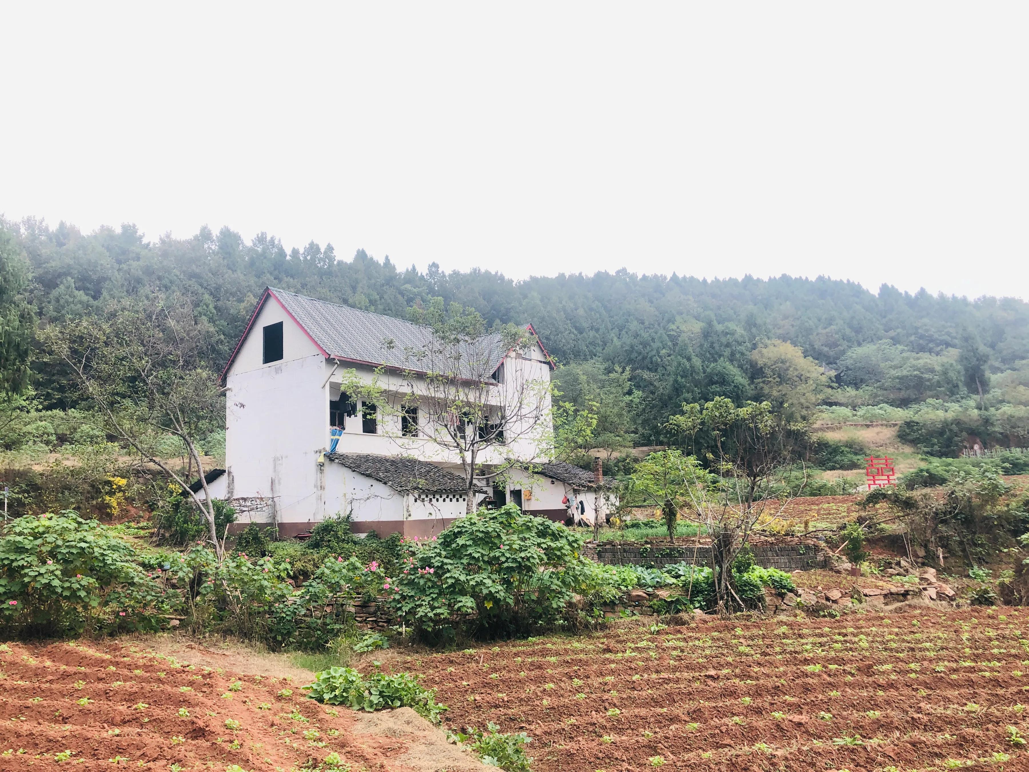閲戝爞椴滆姳灞辫胺鍊煎緱鍘诲悧,閲戝爞椴滆姳灞辫胺娓歌