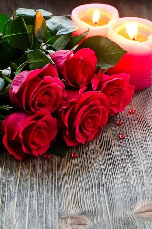 520浪漫玫瑰花壁纸,红玫瑰花壁纸大图