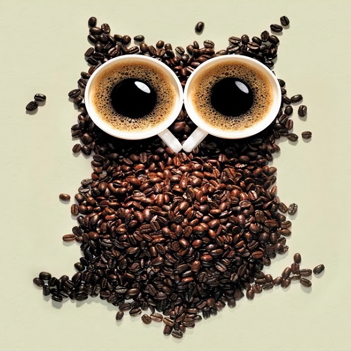 越南西贡猫屎咖啡怎么样,猫屎咖啡哪个牌子最正宗