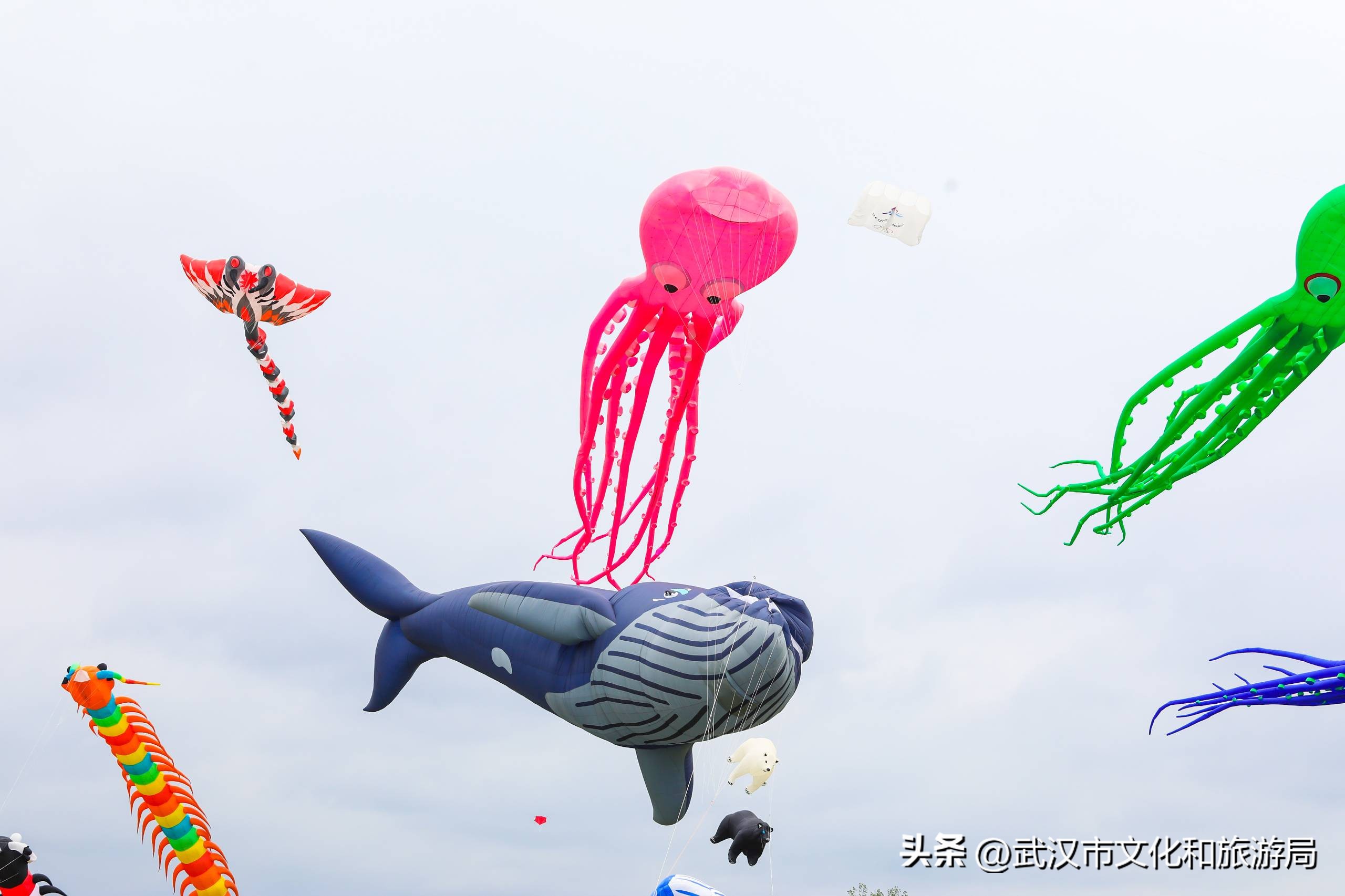 2023木兰草原国际风筝节,2022年木兰草原风筝比赛