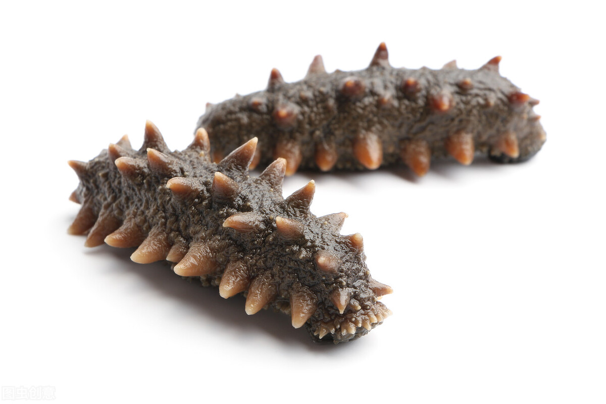 怎么挑选海参即食海参,长岛海参淡干海参非即食海参