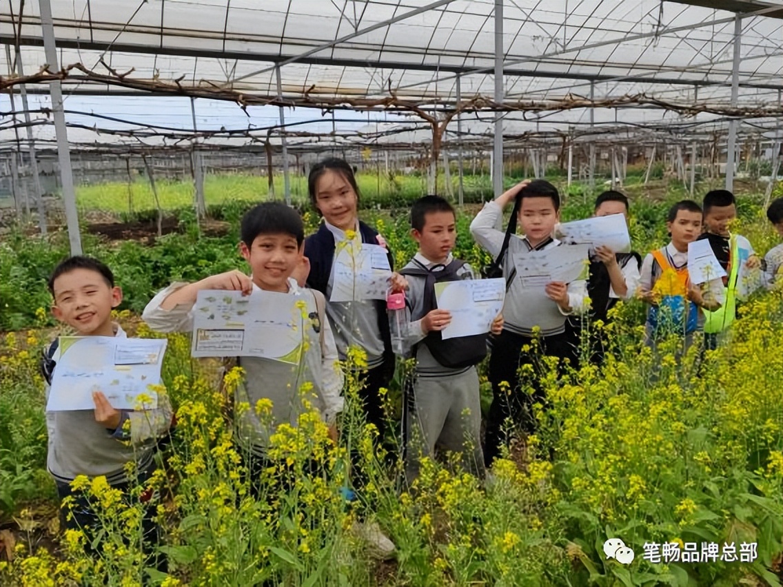 2023笔畅作文春季户外活动评选——广西桂林分校研学拔萃行