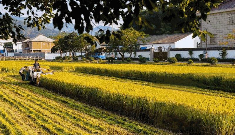 徐福东渡启航,慈溪龙山虞洽卿