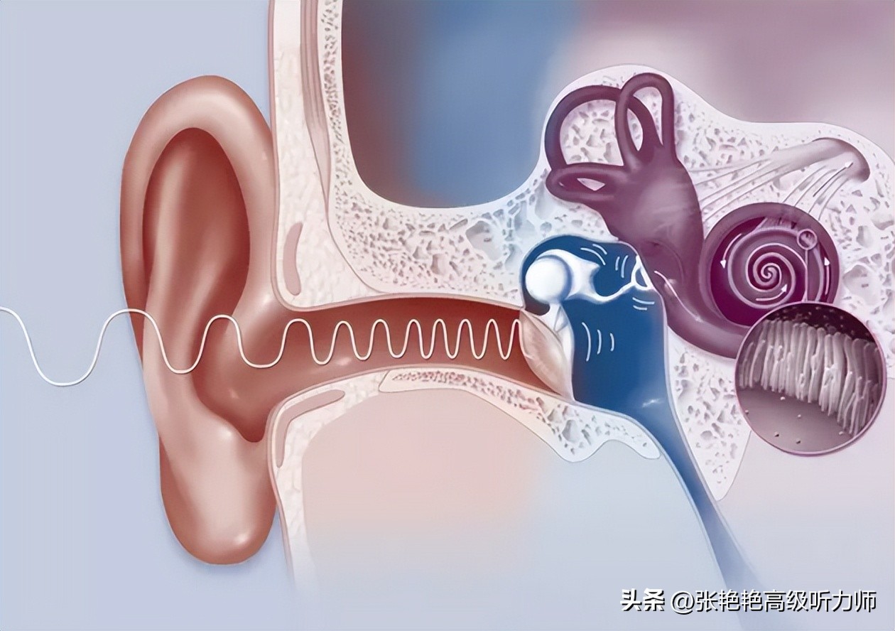 为什么戴上助听器感觉很吵,助听器为什么戴着好吵