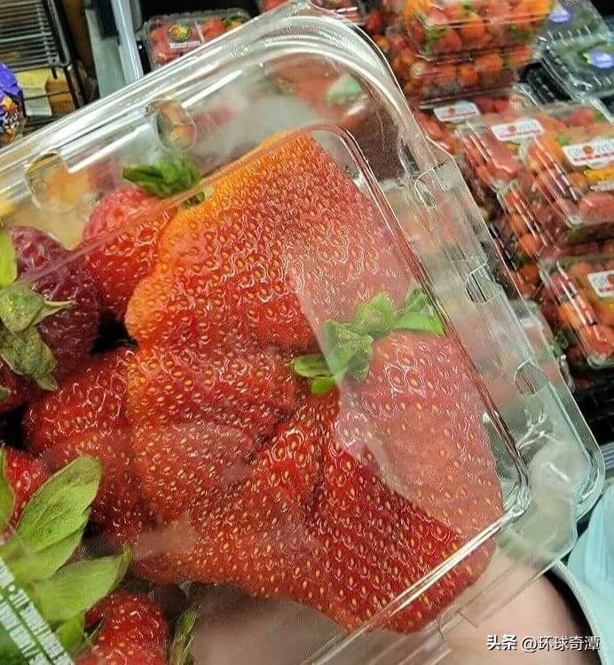 自然界中的庞然大物,自然界奇形怪状的东西