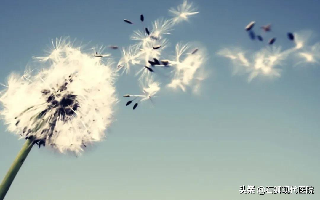 无痛人流术后怎么保养,术后怎么保养和恢复