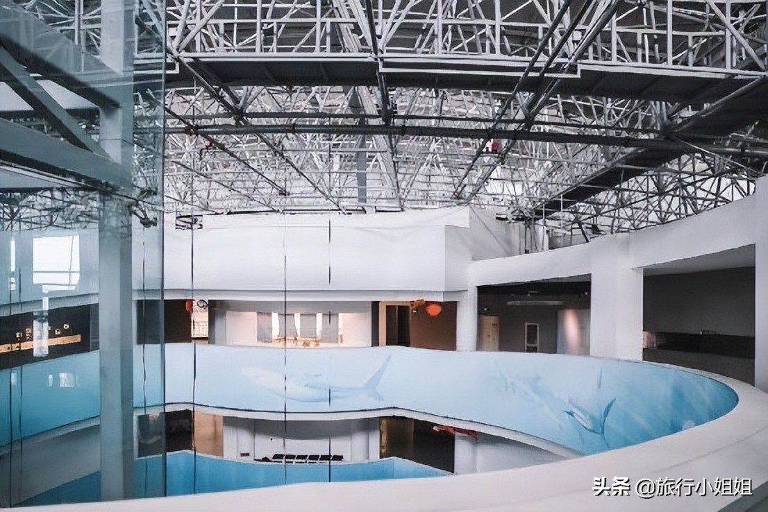 夏日海边微醺氛围感,滨城风光秀丽浪漫气息爆表