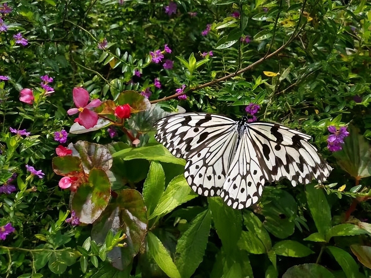 堪称千古绝对的3副对联,堪称千古一帝的对联