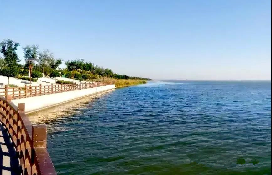 团泊洼的秋天的阅读感悟,团泊洼的秋天朗诵视频