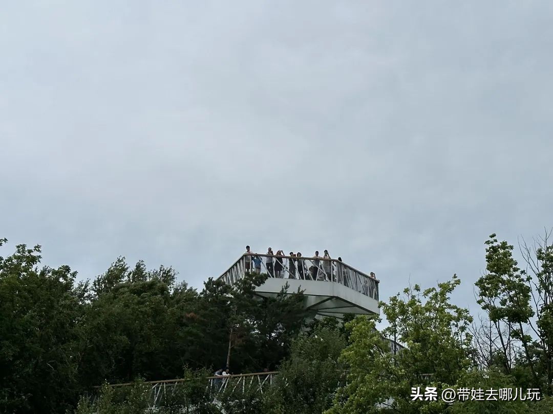 长白山二道白河旅游攻略7月游,自驾二道白河长白山旅游攻略