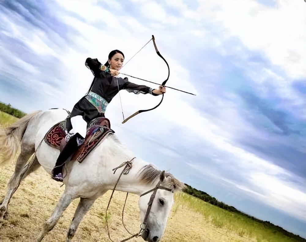 带有一天的成语,弯弓饮羽是什么意思