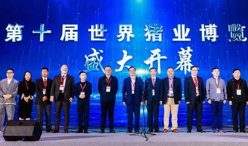 寮熷紵鎶婂僵绀奸挶鍊熺粰鍝ュ摜,寮熷紵鎶婄粨濠氱殑褰╃ぜ鍊熺粰鍝ュ摜鍏荤尓