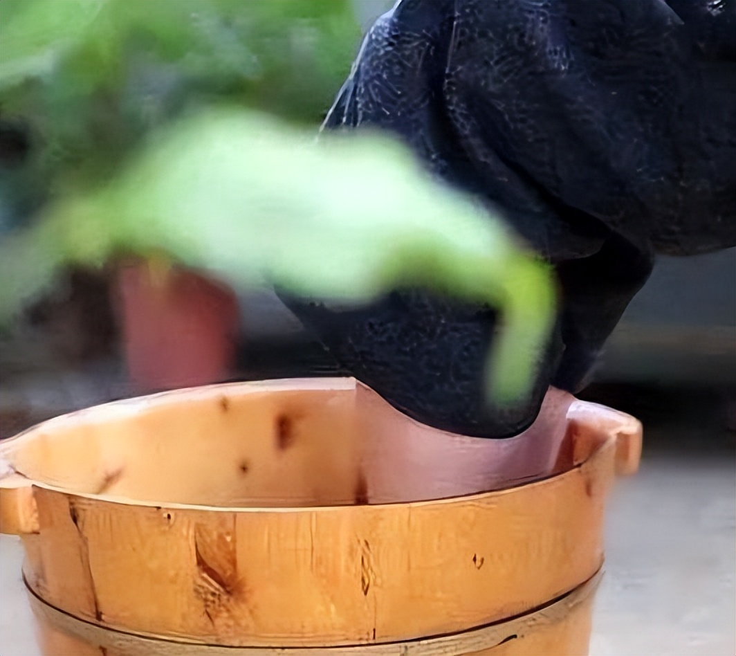 女人睡前用艾叶泡脚好吗,睡前艾叶生姜泡脚