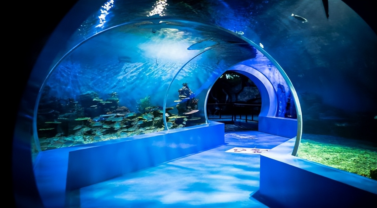 石林风景区周边景点推荐,昆明石林景点的详细介绍